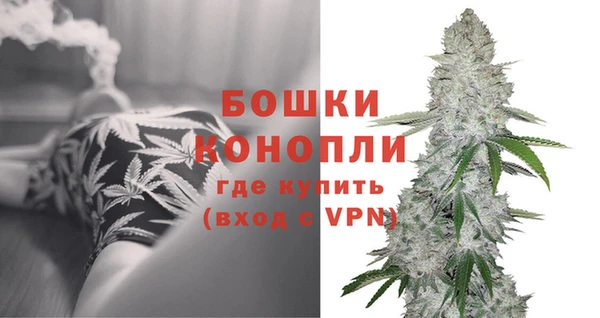 сатива Вязники