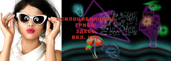 mdpv Горняк