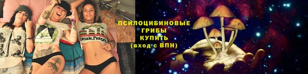 крисы Горнозаводск