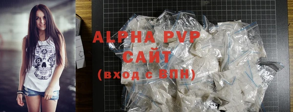 винт Горно-Алтайск