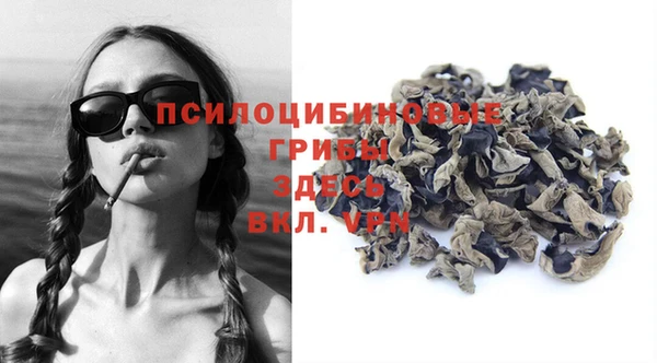 крисы Горнозаводск