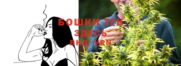 крисы Горнозаводск