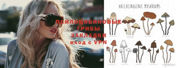 винт Горно-Алтайск