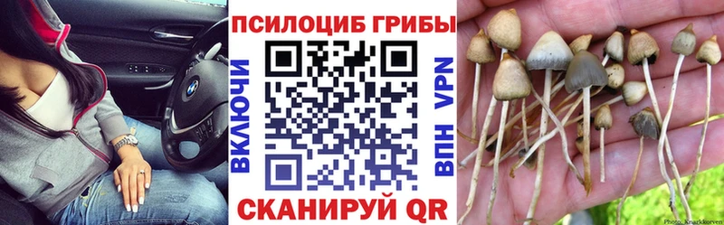 Псилоцибиновые грибы Cubensis  где купить наркоту  Еманжелинск 